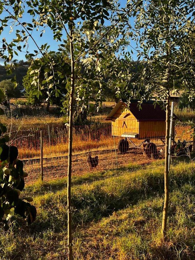 Farm stay Viva! *